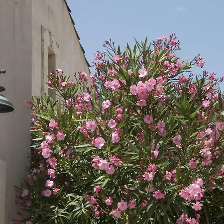 Sant'agostino Siracusa Apartment Syracuse